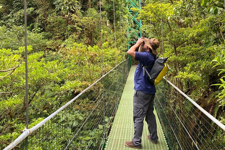 Hanging Bridges in Monteverde